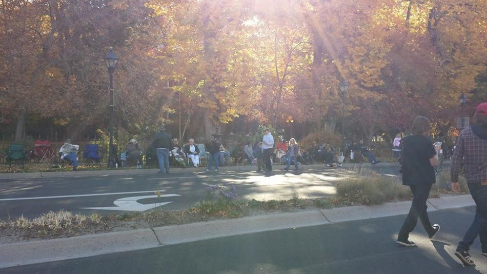 Sunlight through the trees along the parade route.