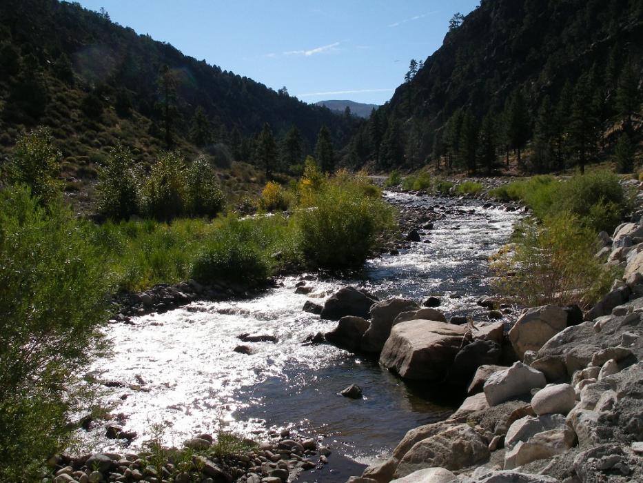 West Walker River.  Photo by Elaine Quilici