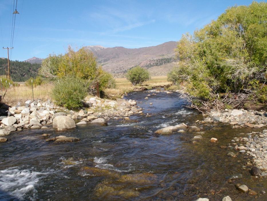 Little Walker River.  Photo by Elaine Quilici