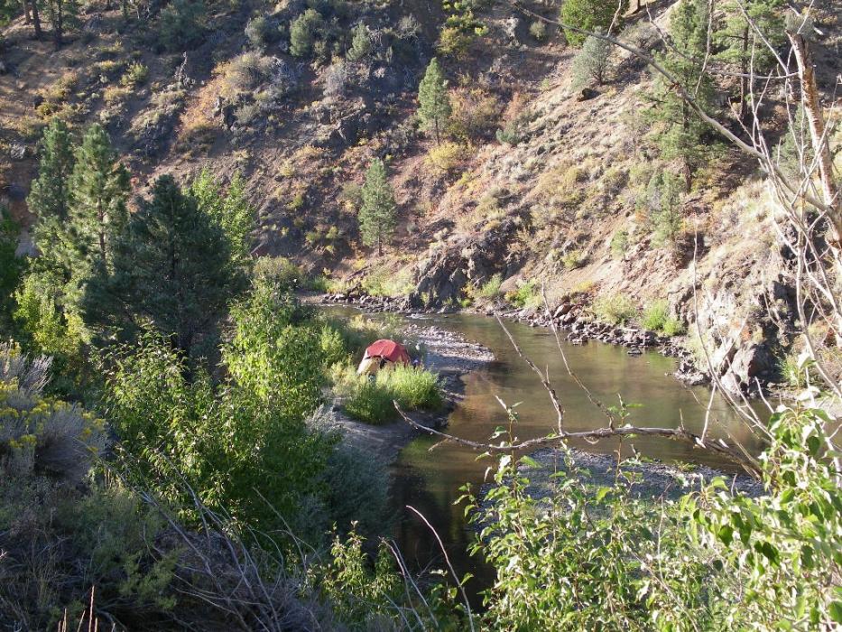 East Carson River. Photo by Elaine Quilici