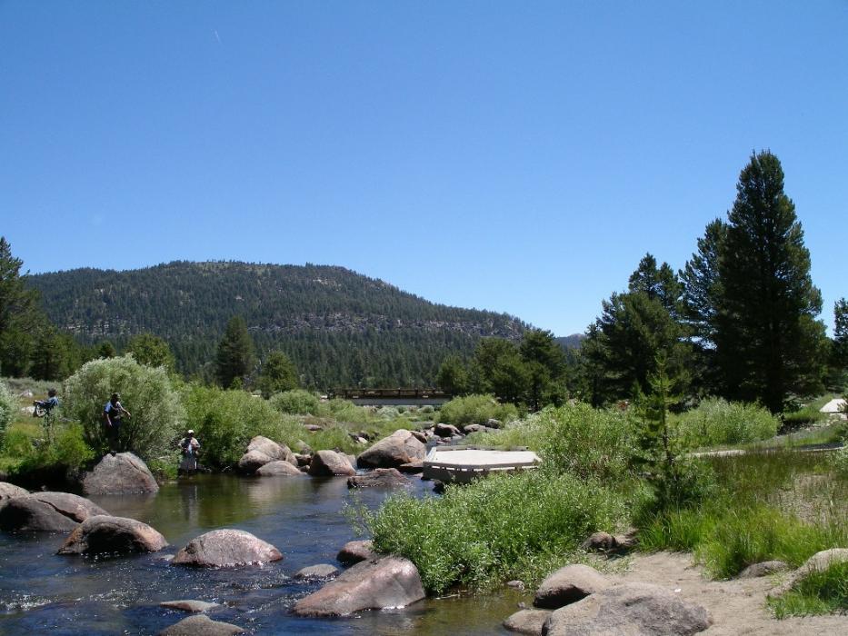 West Carson River. Photo by Elaine Quilici