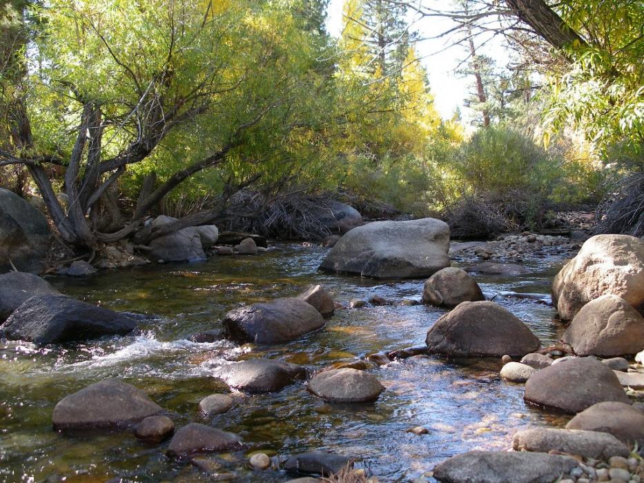 Robinson Creek. Photo by Elaine Quilici