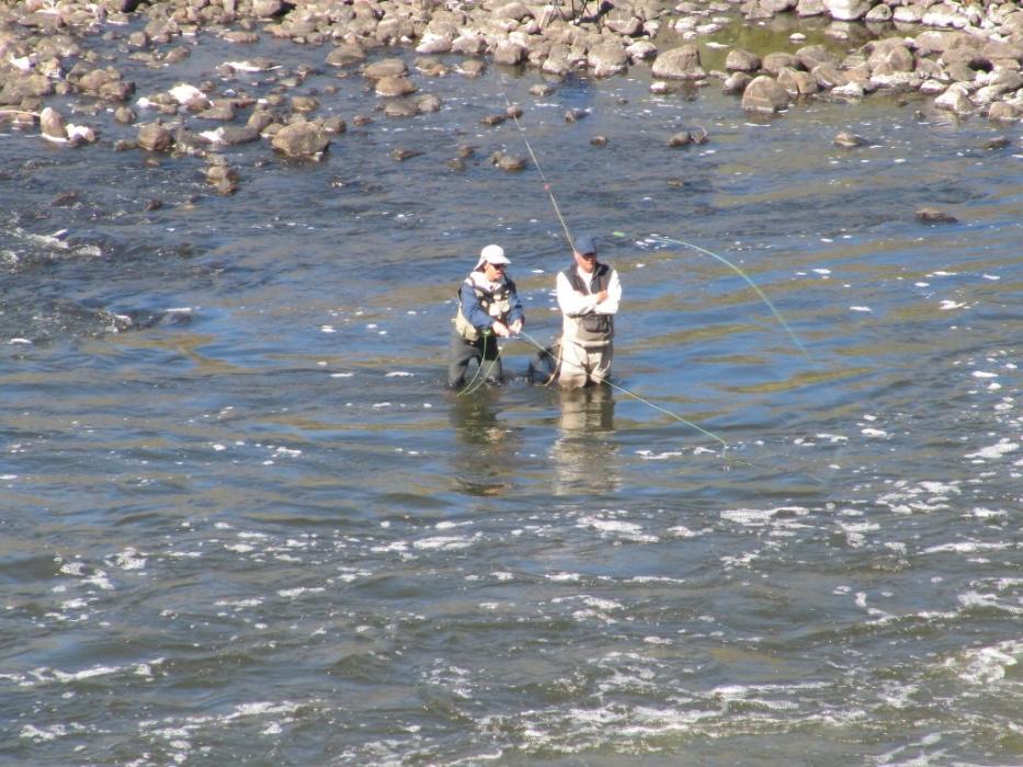 East Walker River.  Photo by Elaine Quilici