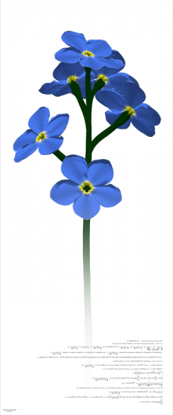 Forget-Me-Not, by Ben Hoffman, canvas print, 12'x5', 2013