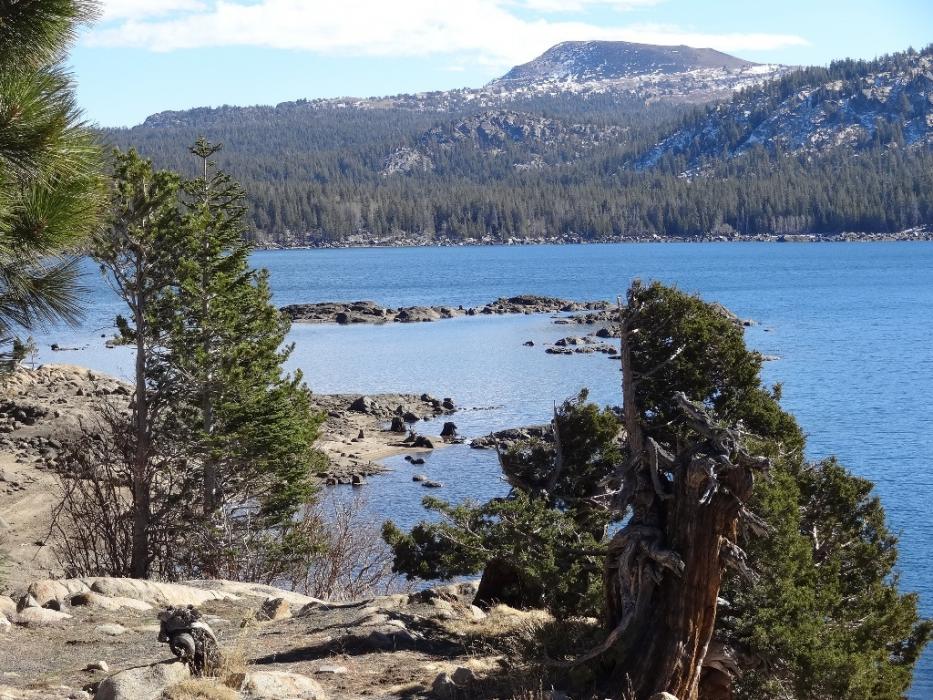 A rocky reef near the Caples Lake Resort.  Photo by Elaine Quilici