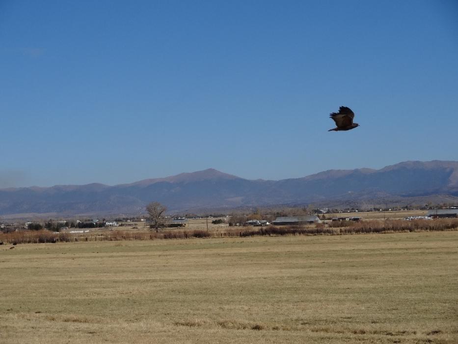 I'm out of here! Photo by Elaine Quilici