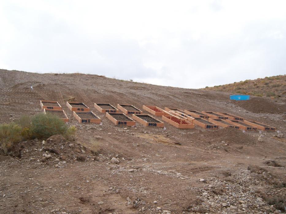 UNR Cooperative Extension is testing biochar mixes at the Ruby Hill Mine site in Eureka County, Nev.