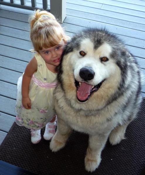 Rocky and friend.