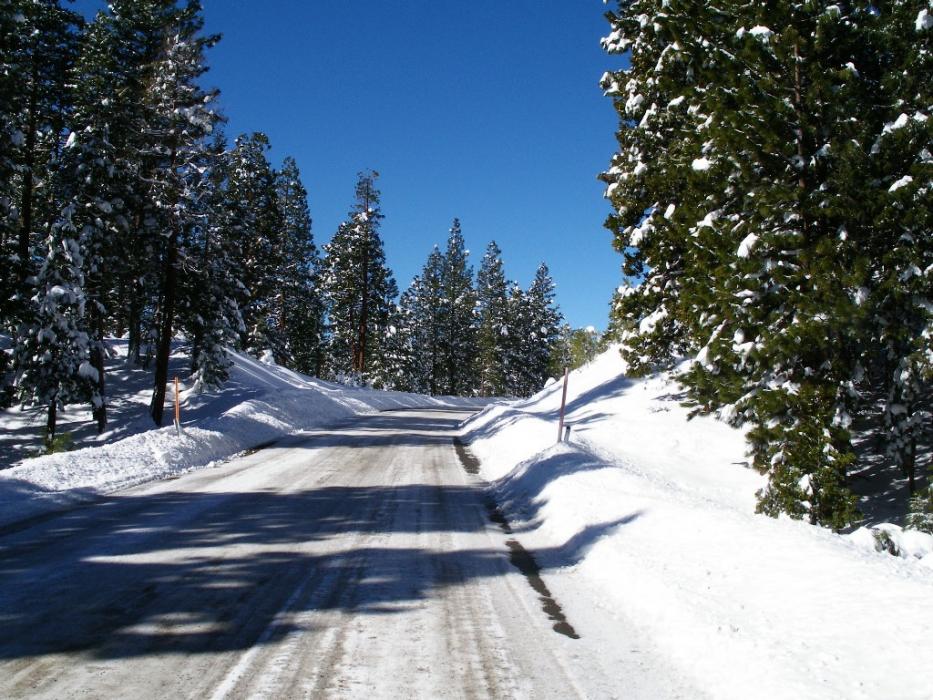 Grizzly Road on the way to the Quilici cabin. Photo by Don Quilici