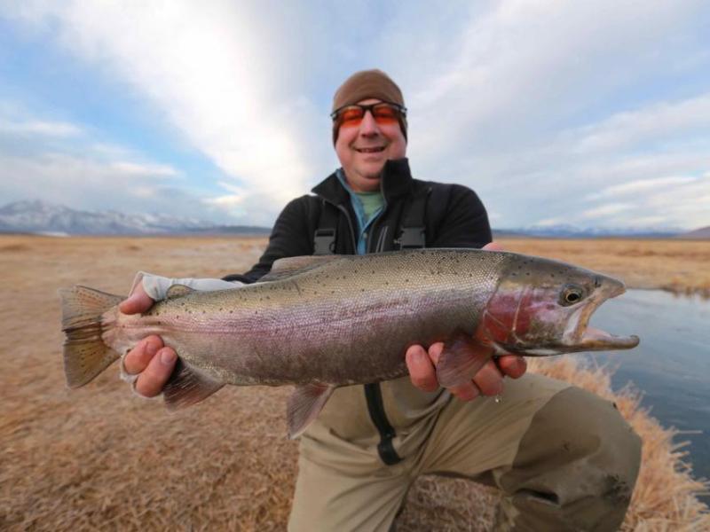 A nice rainbow trout caught in the Upper Owen River, Calif. Photo courtesy of Tom Loe of the Sierra Drifters Guide Service