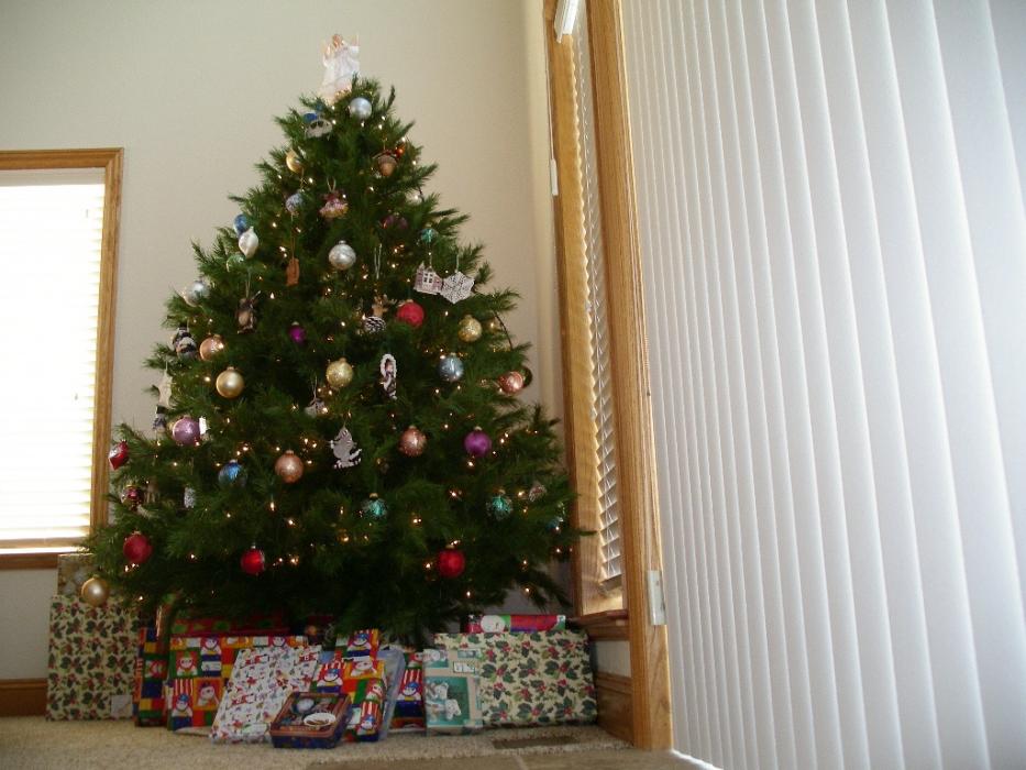 Christmas is a time for giving presents.  Photo by Elaine Quilici