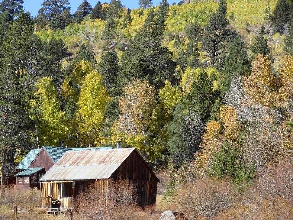 Fall colors near Red Lake, California.  Photo by Elaine Quilici