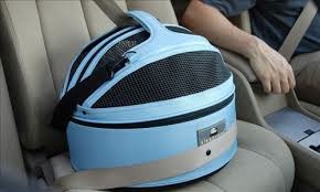 Pet Pod Sleepy Carrier.