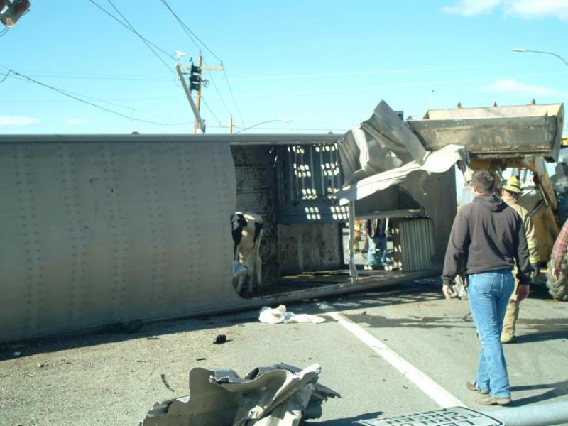 Photo provided by Douglas County Sheriff's Office