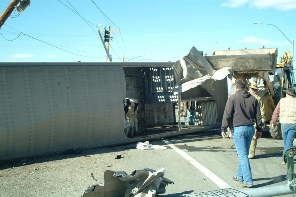 Photo provided by Douglas County Sheriff's Office