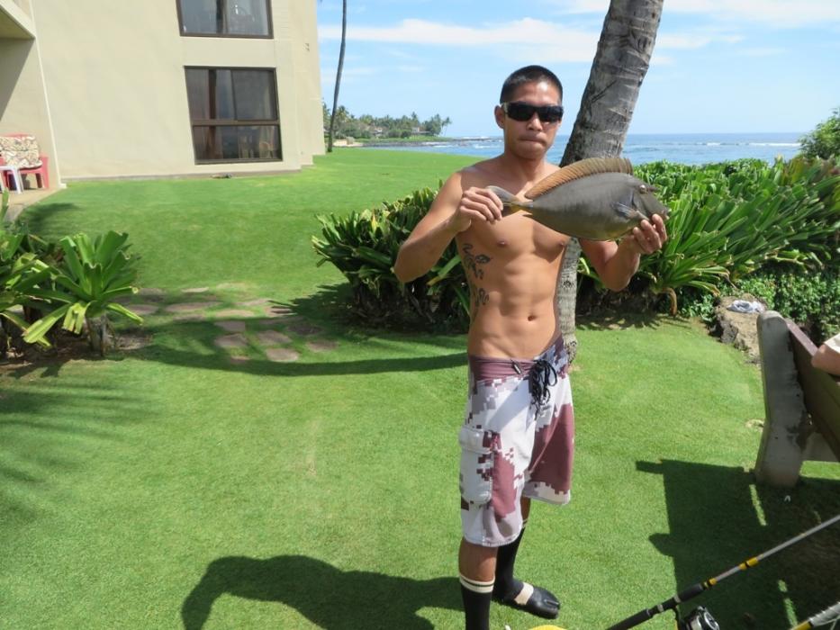 That fisherman holding a Unicorn Fish caught on seaweed.  Photo by Elaine Quilici