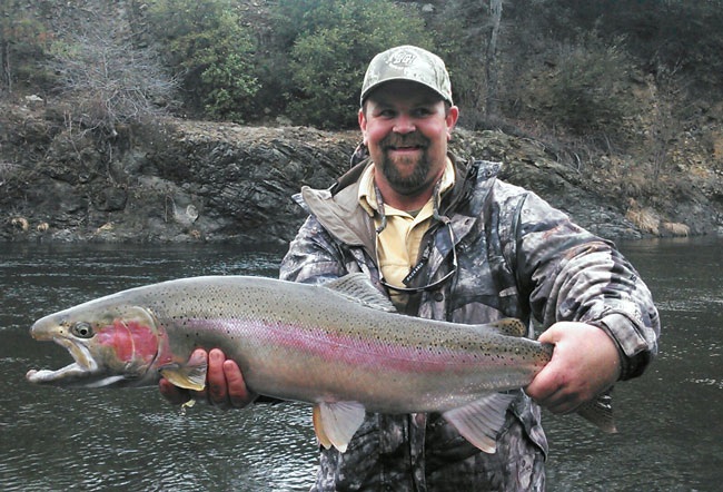 Steelhead caught in the Trinity River, Calif. Photo courtesy of Kirk Portocarrero at Outdoor Adventures