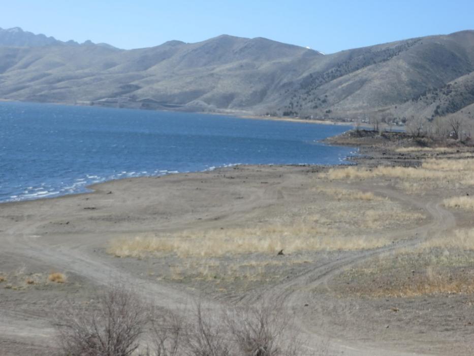 The north shoreline at Topaz Lake. Photo by Elaine Quilici