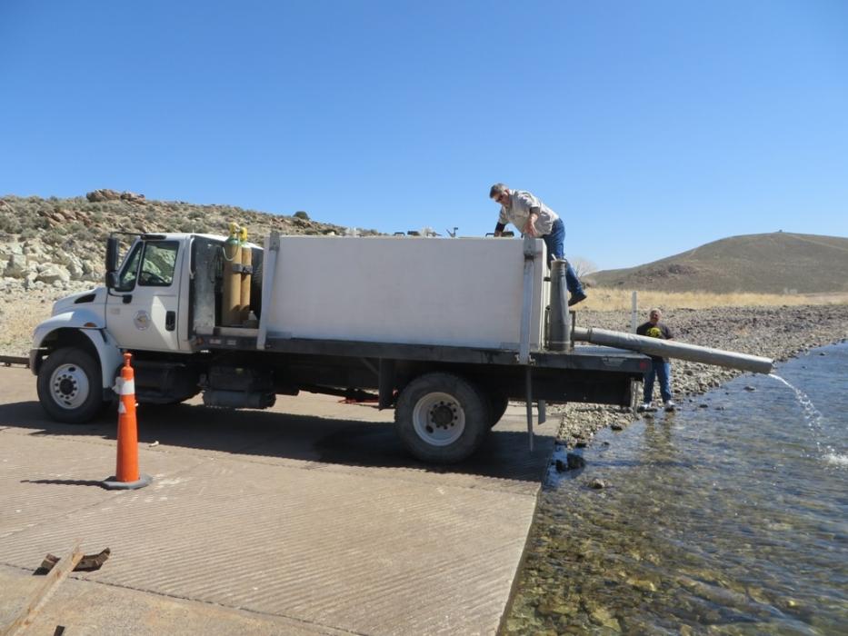 NDOW fish truck ready to plant rainbow trout.  Photo by Elaine Quilici