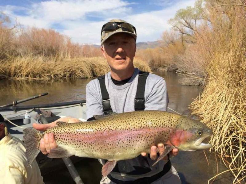 Eric Kool caught, released this rainbow fly fishing on the Middle Owens River. Photo by Tom Loe, Sierra Drifters Guide Service