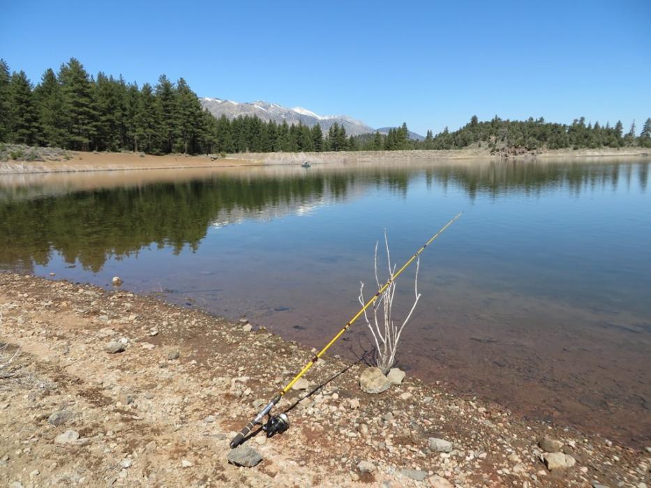 Don Q's forlorn-looking fishing pole.  Photo by Elaine Quilici