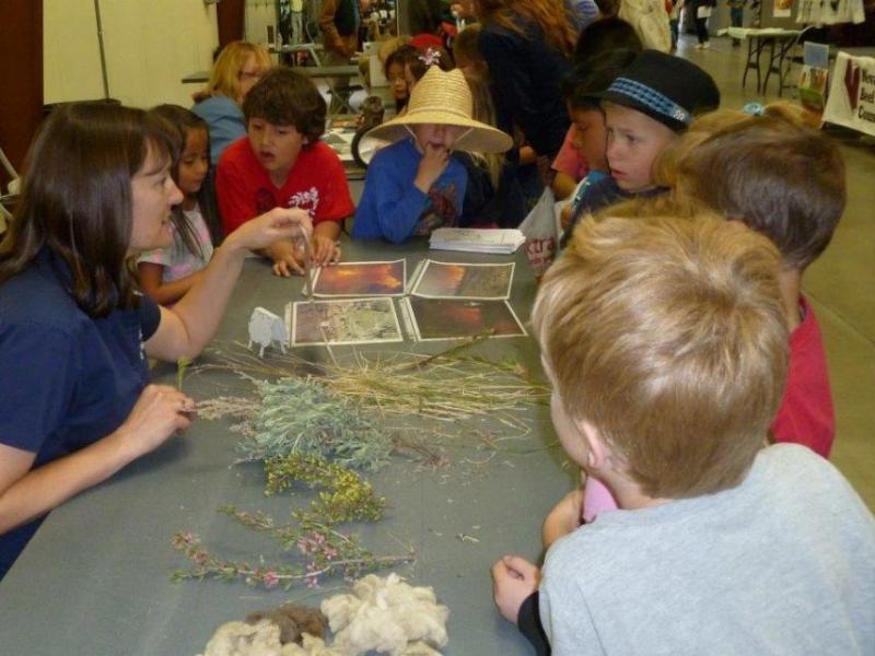At Capital City Farm Days, elementary-age youth learn about the importance of agriculture in Nevada.