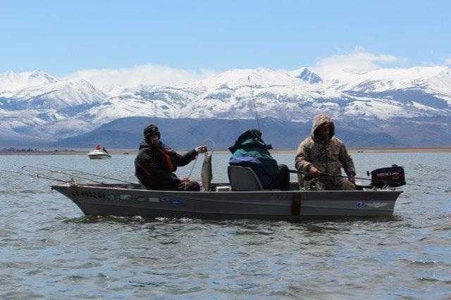 Trolling on Opening Weekend at Bridgeport Reservoir, Calif. Photo courtesy of Jeffery at Bridgeport RV Park.