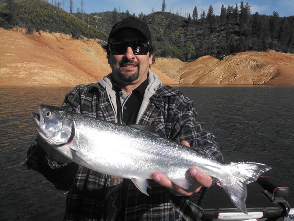 King Salmon caught at Shasta Lake.  Photo courtesy of Kirk and Lisa Portocarrero at Sacriverguide.com