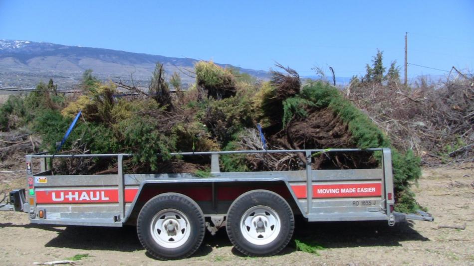 Residents are encouraged to “Junk The Junipers” May 10 in Washoe Valley, to prepare their homes for wildfire.