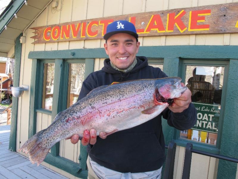 Kai Ishisara of Monterey Park, Calif. used a mini jig to catch a 7-pound, 14-ounce rainbow at Convict Lake.