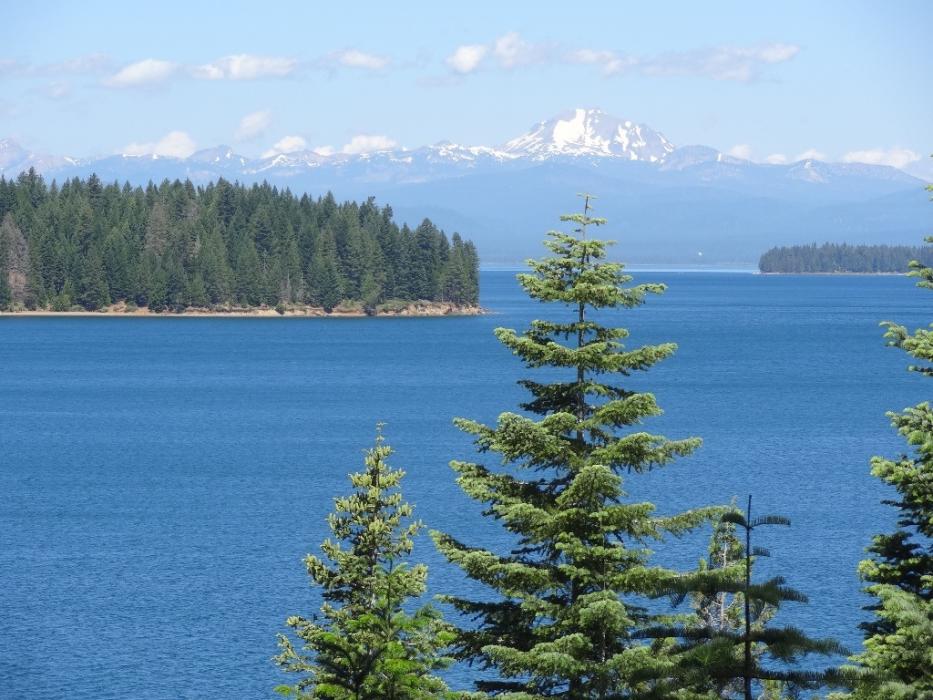 Lake Almanor with Mt. Lassen in the background. Photo by Elaine Quilici