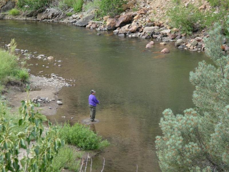 Fishing the East Carson River. Photo by Elaine Quilici