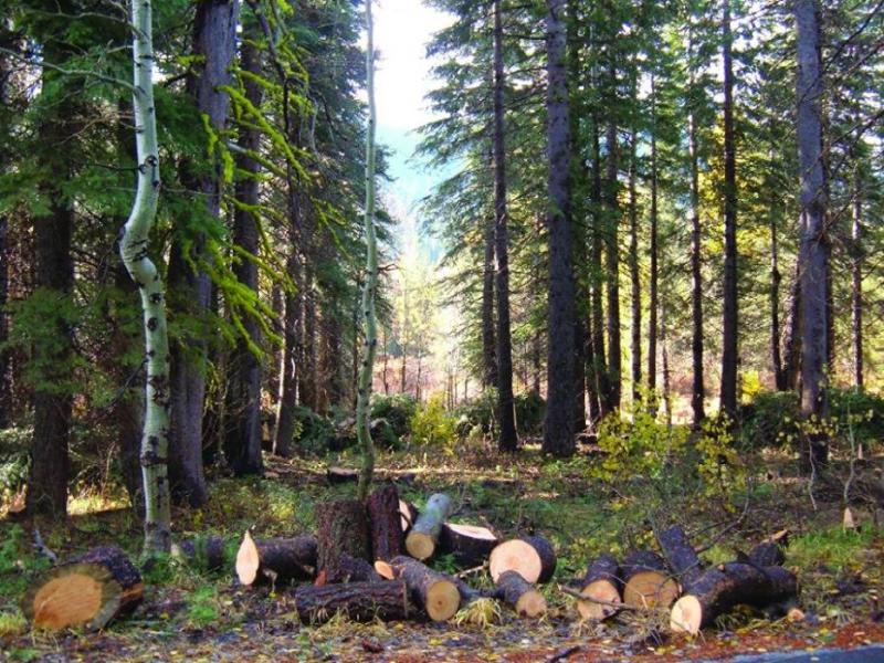Photo provided by Tahoe Regional Planning Agency