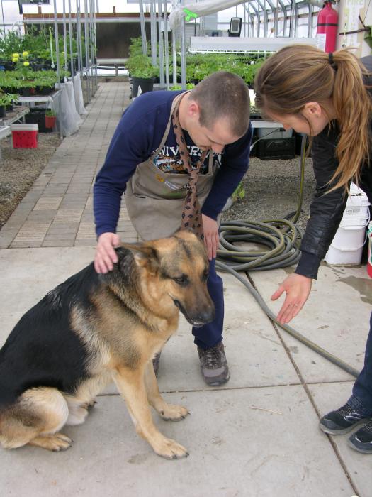 Jacob loves on Camillie's dog Forest, who has become an unofficial Greenhouse mascot.