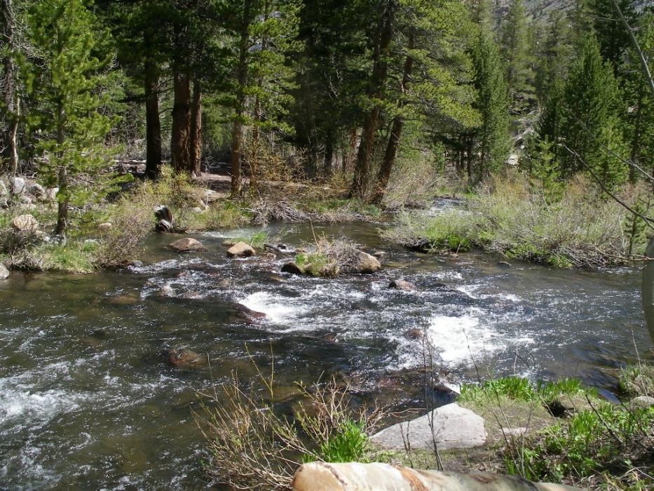 South Bishop Creek near Parchers Resort. Photo by Don Quilici
