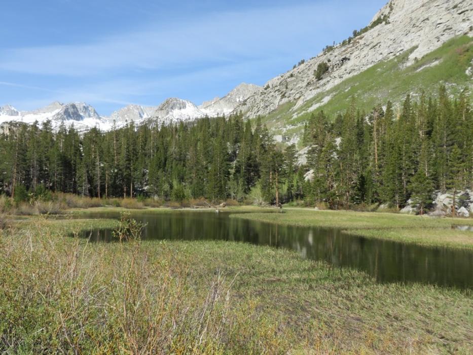 Weir Pond, which is popular with fly fishermen. Photo by Elaine Quilici