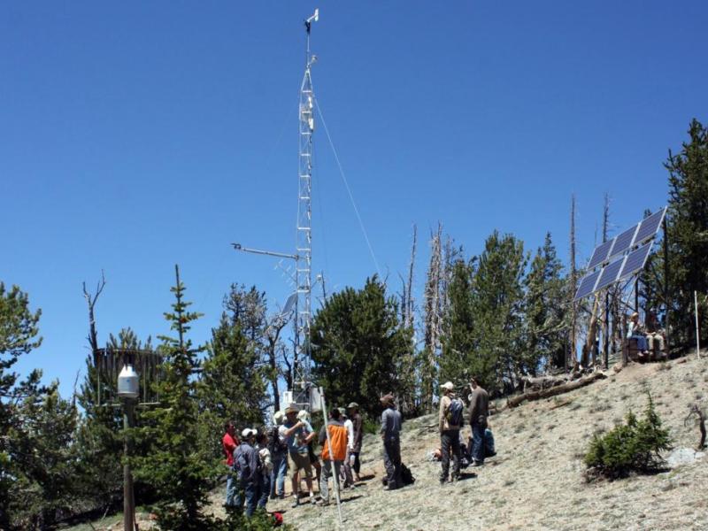 Researchers tour the Snake Range Subalpine climate/environmental monitoring site in the Bristlecone Pine forest at 11,000-feet.