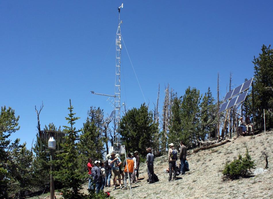 Researchers tour the Snake Range Subalpine climate/environmental monitoring site in the Bristlecone Pine forest at 11,000-feet.