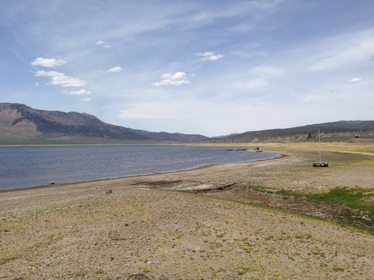 Bridgeport Reservoir. Photo by Elaine Quilici