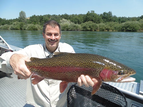 A nice rainbow trout from the Sacramento River, Calif. Photo courtesy of Outdoor Adventures.