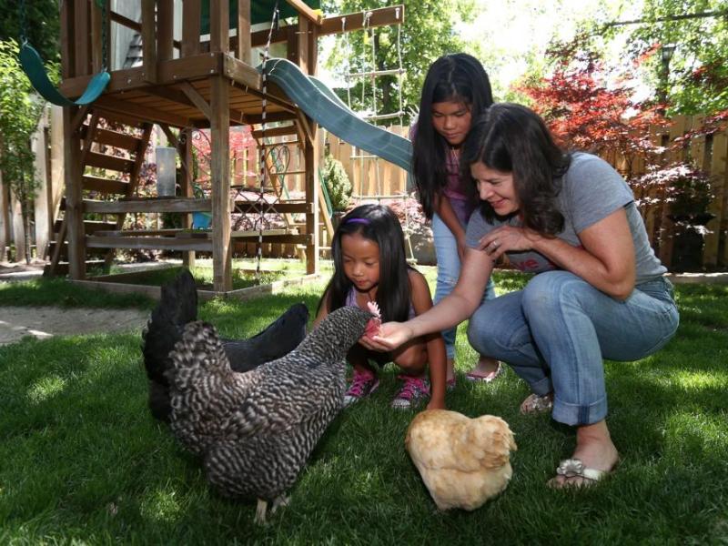 Backyard chicken farmers, Lisa Keating-McEllistrem and daughters Elia, (standing) and Dahlia.