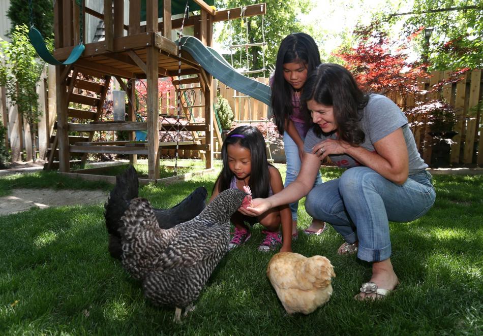 Backyard chicken farmers, Lisa Keating-McEllistrem and daughters Elia, (standing) and Dahlia.