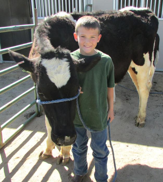 Parker Story of Dayton representing the Arrowhead Livestock Club with Amelia.