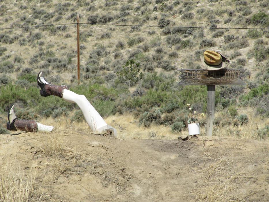 What you can see along the road to Lehman Caves. Photo by Elaine Quilici