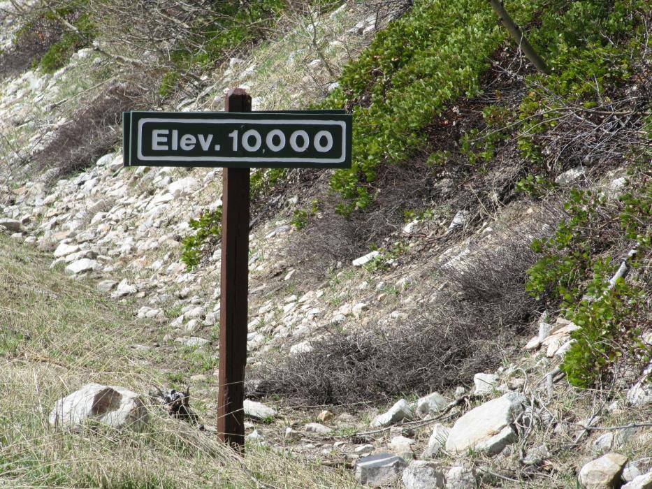 Near the end of the Wheeler Peak Scenic Drive.  Photo by Don Quilici