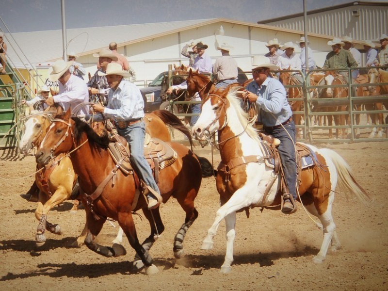 The NV150 Fair at Fuji Park in Carson City features livestock and rodeo events.