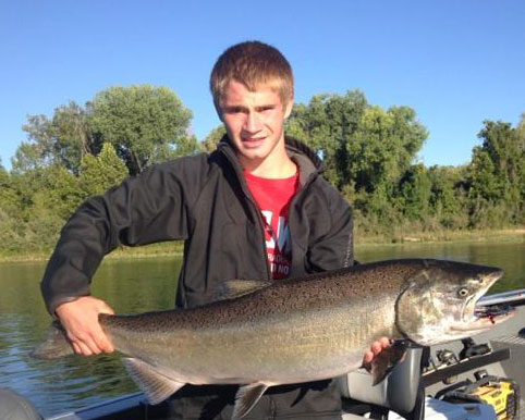 Another King Salmon from the Sacramento River. Photo courtesy of www.sacriverguide.com