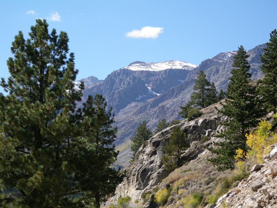 Some of the high mountain scenery at Lundy Lake. Photo by Elaine Quilici