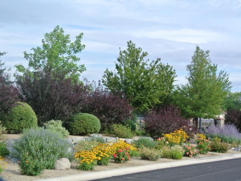 University of Nevada Cooperative Extension will present, “Designing a Water-Efficient Landscape,” 6-8 p.m., Tuesday, Sept. 9.