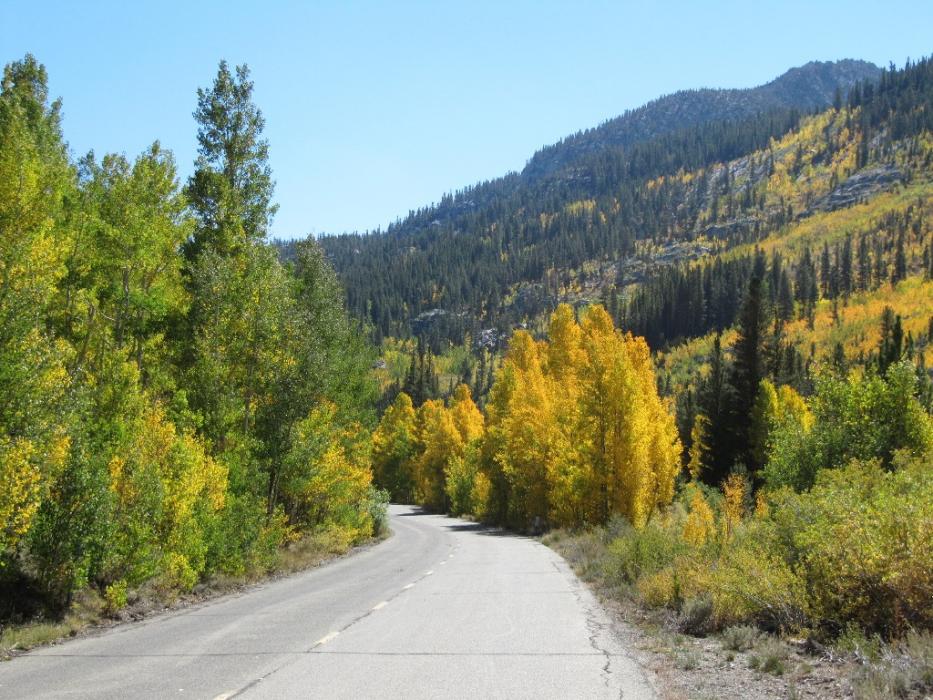Fall colors at Bishop Creek, California.  Photo by Elaine Quilici